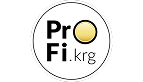 Logo von Profi.krg für Buchhaltungs-Outsourcing